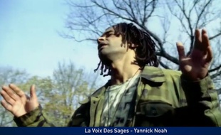 Yannick Noah, un chanteur écolo.