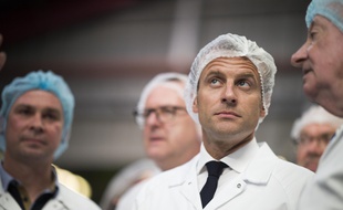 Emmanuel Macron lors d'une visite dans l'entreprise agroalimentaire SILL, à Plouvien dans le Finistère, le 20 juin 2018.