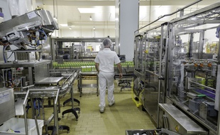 Le secteur agroalimentaire continue toujours d'être un gros pourvoyeur d'emplois en Bretagne.