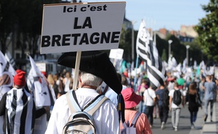 Illustration d'une manifestation en faveur de la réunification de la Bretagne en 2014 à Nantes.