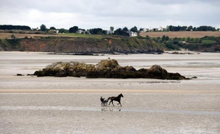 Faute de pluie suffisante depuis septembre, les réserves hydrauliques sont au plus bas en cette fin d'année en Bretagne, ce qui a entraîné un appel à la vigilance des préfectures des départements les plus touchés, les Côtes-d'Armor et l'Ille-et-Vilaine.