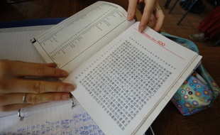Un cours de chinois au lycée.