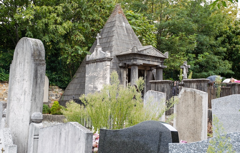Lyon Loyasse, premier cimetière de France à devenir un refuge pour la faune