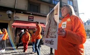 Des militants de l'association L214 manifestent devant une enseigne La Brioche Dorée, propriété du groupe Le Duff. Le 21 janvier 2020, à Rennes.