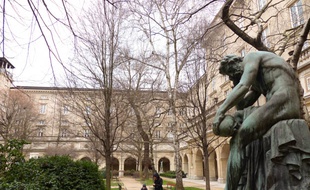 Le musée des Beaux Arts à Lyon est classé à la 4e poistion du palmarès des musée français établi par le Journal des Arts.