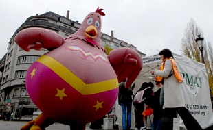 La Wondelrpoule sensibilise aux problèmes des élevages de poules en batterie. Strasbourg le 14 11 2007