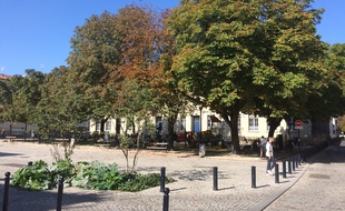 Une des places les plus ombragées de Bordeaux.
