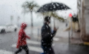 C'est un jour de pluie (mais à Nice au début de l'année, illustration)