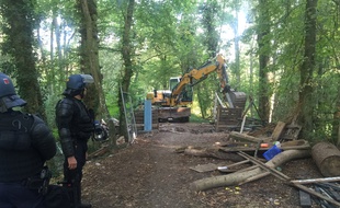 Lors de l'évacuation, le 10 septembre, de la ZAD de Kolbsheim où un pan de forêt a été coupé depuis.