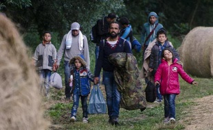 Des migrants à Szeged, en Hongrie, près de la frontière avec la Serbie, le 23 juin 2015
