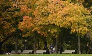 Un homme à bicyclette dans un parc de Moscou, le 26 septembre 2012.