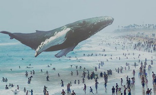 Capture d'écran du site Magic Leap.