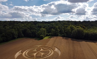 Un crop circle dans un champ à Vimy, dans le Pas-de-Calais.