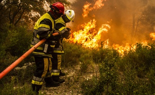 Intervention de sapeurs pompiers sur un feu de forêt.