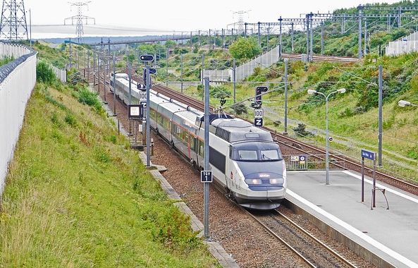 Le TGV percute un troupeau de vaches, ils réveillonnent dans le train 640x410_tgv-file-vive-allure
