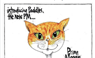 Le chat de la Première ministre avait des milliers d'abonnés sur Twitter.