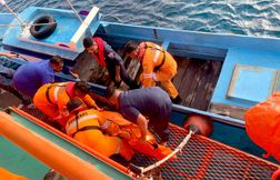 Cinq victimes dans l’incendie d’un ferry en Indonésie, près de 300 personne…
