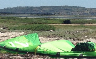 Au second plan de cette photographie prise près de l'étang de la Sèche (Aude) datée du 24 juin 2013, on aperçoit l'ourse Viviane qui a disparu la veille.