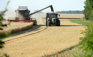 Les ventes de pesticides ont baissé en 2019 (image d'illustration).