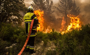 Les feux de forêt ont fait de gros dégâts, cet été.