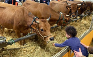La 51e édition du Salon de l'Agriculture à Paris, le 23 février 2014