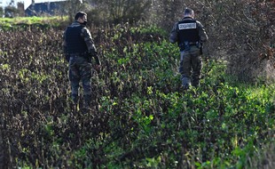 Illustration de gendarmes participant à une opération de recherches.