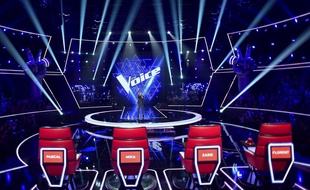 Quel bilan pour la huitième saison de The Voice ?