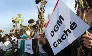 Une centaine de faucheurs volontaires d'OGM bloquaient jeudi les accès d'une usine Glon Sanders de fabrication d'aliments pour animaux à Saint-Gérand (Morbihan), réclamant l'arrêt des importations d'OGM, a-t-on appris auprès d'un porte-parole des manifestants et des gendarmes.