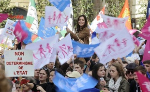 Près de trois quarts des Français (72%) pensent que les manifestations contre la loi sur le mariage homosexuel doivent s'arrêter et ils sont 31% à estimer que si l'UMP revient au pouvoir en 2017, elle abrogera la loi, révèle un sondage Ifop pour le JDD publié samedi.
