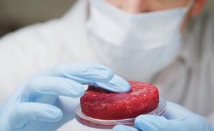 La viande artificielle pourrait bientôt se retrouver dans les rayons des supermarchés