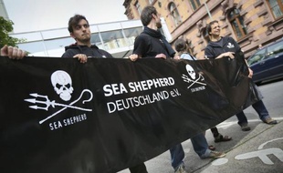 Sea Shepherd travaille à "mettre à jour les raisons réelles qui se cachent derrière le mandat d'arrêt du Costa Rica" contre Paul Watson, son fondateur, en détention depuis dimanche à Francfort (Allemagne), indique un communiqué de l'association publié mardi à Paris