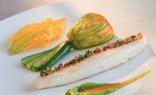Aiguillette de saint-pierre et fleurs de courgette farcies