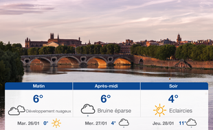 Météo Toulouse: Prévisions du lundi 25 janvier 2021
