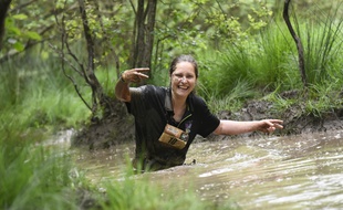Les participants ont parfois évolué dans l'eau, ici lors du Mud Day, le 4 juin 2016 à Saint-Cyr Coëtquidan.