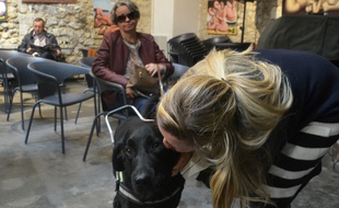Valérie Cavagnac (au fond) et son chien guide Lady.