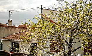 La maison où les enfants vivaient .