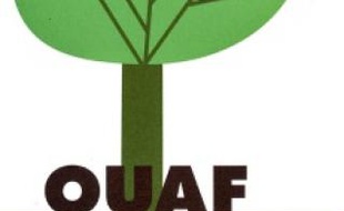 Des mots pour représenter les animaux.