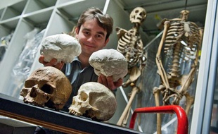 Antoine Balzeau avec à gauche le crâne fossile de Cro-Magnon et le moulage de son cerveau, et à droite un crâne d'homme actuel et son moulage de cerveau.