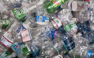 Le bisphénol A est présent dans de nombreux plastiques alimentaires.