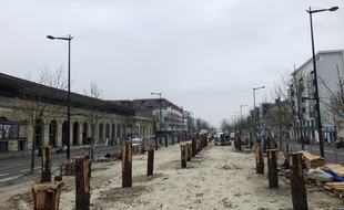 Des poteaux ont été installés pour les fondations de la villa Shamengo sur l'Allée Serr, à Bordeaux.
