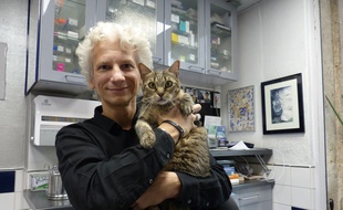 Frantz Cappé, vétérinaire à Paris et auteur de «Mon chat, mon chien va partir»