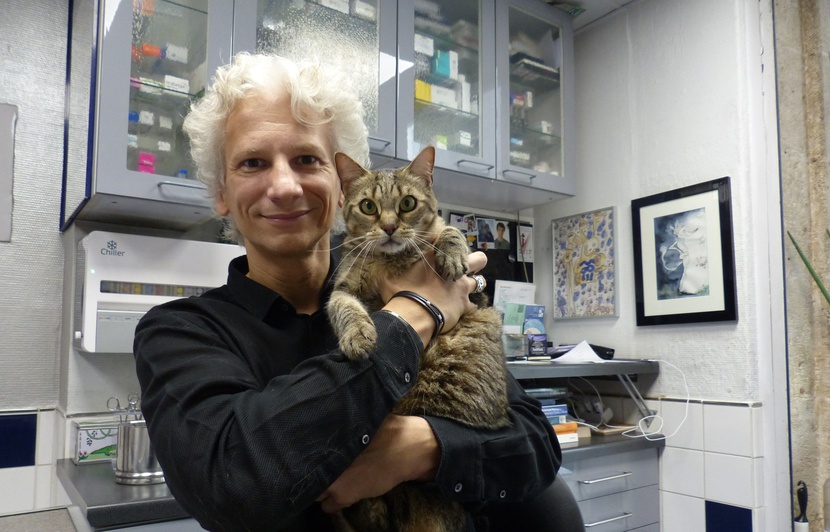 Deuil De Son Animal De Compagnie Il Ne Faut Pas Mentir A Son Enfant
