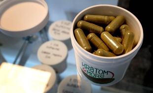 Le kratom est généralement utilisé sous forme de gélule ou infusé dans du thé