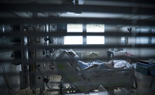 Le pic de la première vague est encore loin, avec 7.000 patients en réanimation en avril 2020