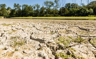 Cinq départements d'Ile-de-France doivent se soumettre à des mesures de restriction en eau en raison de la sécheresse.