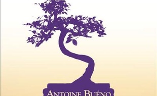Le maître bonsaï