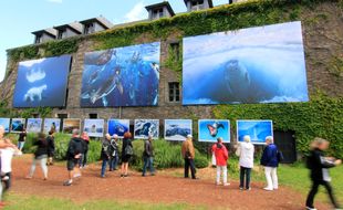 Le festival photo de la Gacilly, ici en 2016, a attiré 385.000 visiteurs en quatre mois.