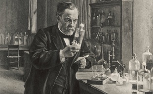 Louis Pasteur dans son laboratoire en 1885(illustration)
