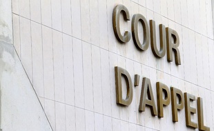La cour d'appel de Reims. (illustration)