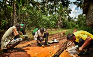 Des chercheurs de l'IRD au Cameroun (photo d'illustration).
